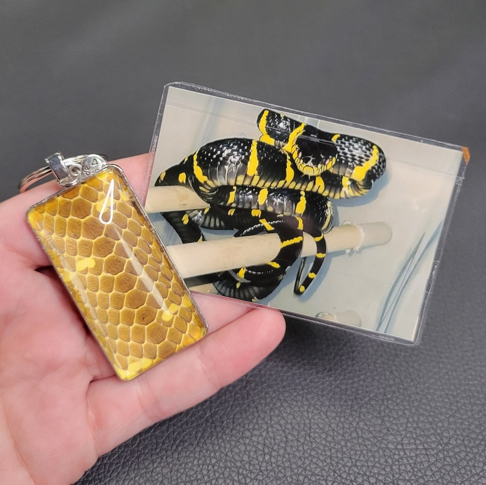 Snake shed keychain